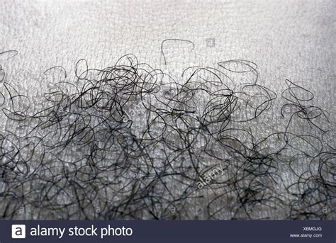 hairyteen|63 Pubic Hair Young Stock Photos & High.